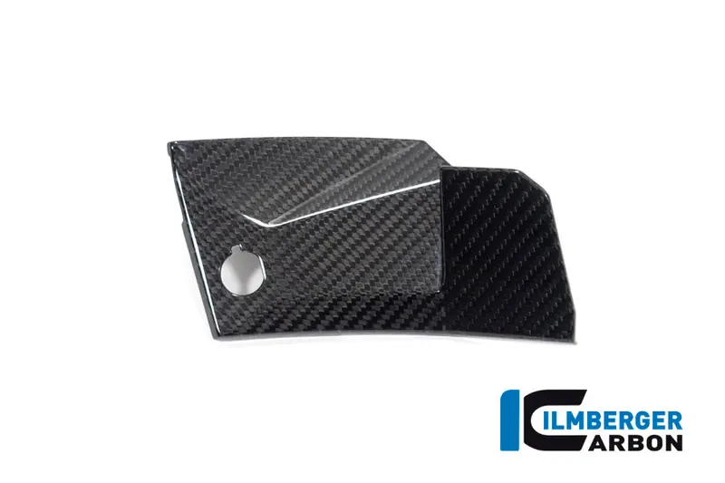 Bmw M1000xr (2024-2026) Ilmberger Gloss Carbon Cover Near The Instruments (Left Side) 1