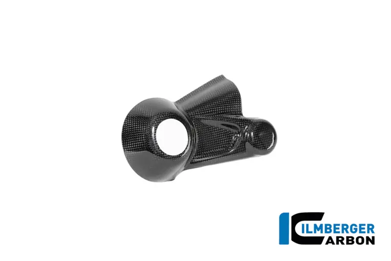 Bmw R 12 Ninet (2024-2026) Ilmberger Carbon Drive Housing Cover (Gloss) 1