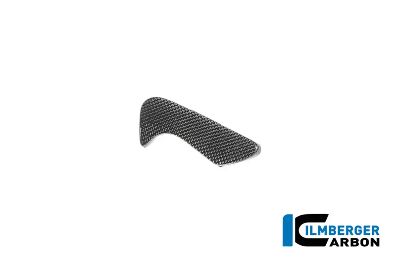 Bmw R 12 Ninet (2024-2026) Ilmberger Carbon Toolbox Cover (Gloss) 1