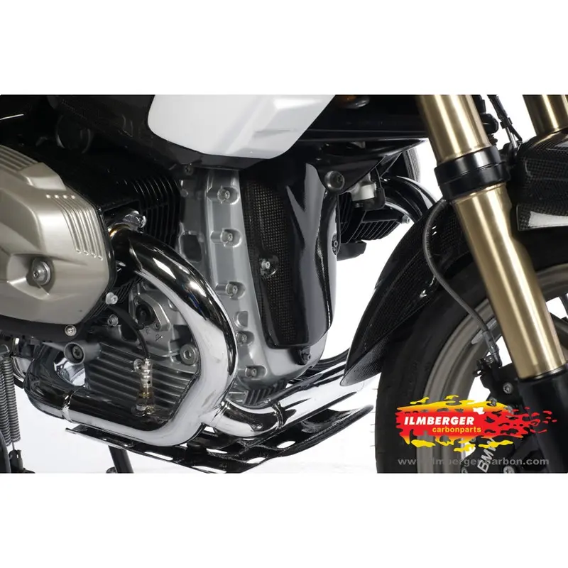 Bmw R1200gs (2004-2007) Ilmberger Carbon Alternator Cover 1