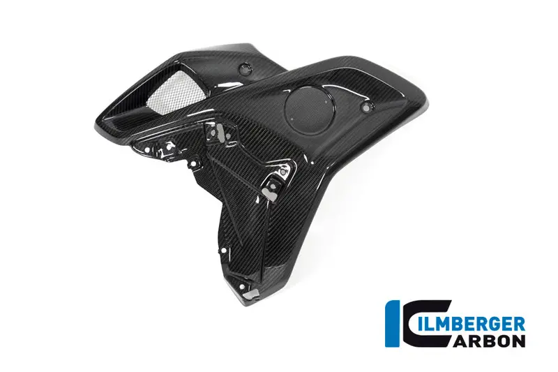 Bmw R1250gs (2019-2023) Ilmberger Carbon Airtube (For Original Stainless Steel Deflector) (Left) 1