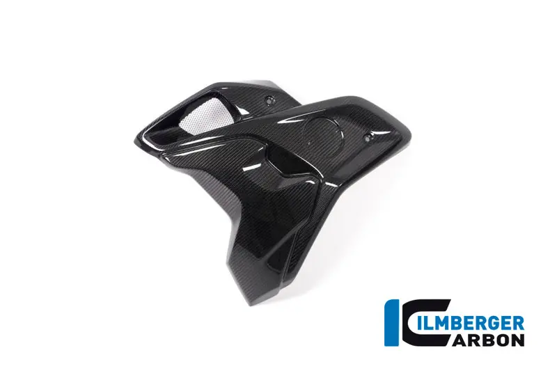 Bmw R1250gs (2019-2023) Ilmberger Carbon Airtube - Including Flap (Left) 1