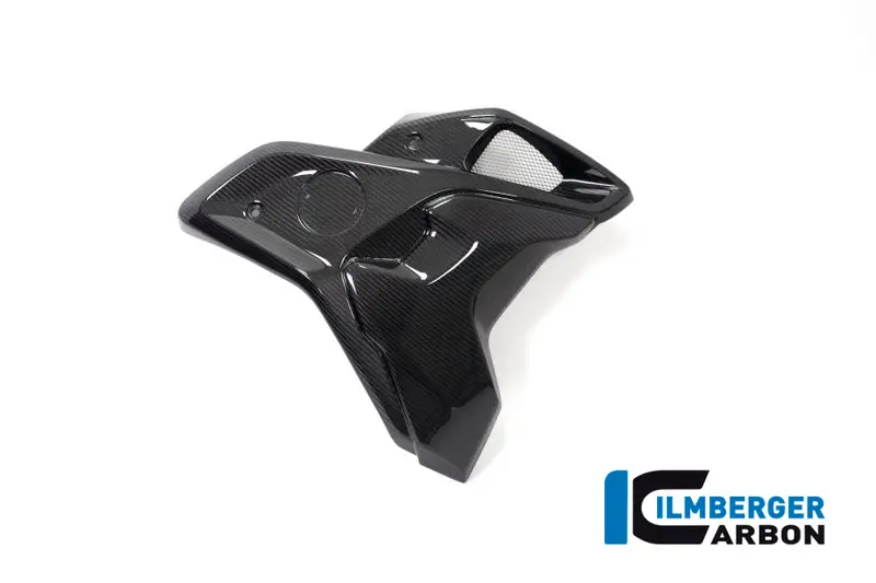 Bmw R1250gs (2019-2023) Ilmberger Carbon Airtube - Including Flap (Right) 1