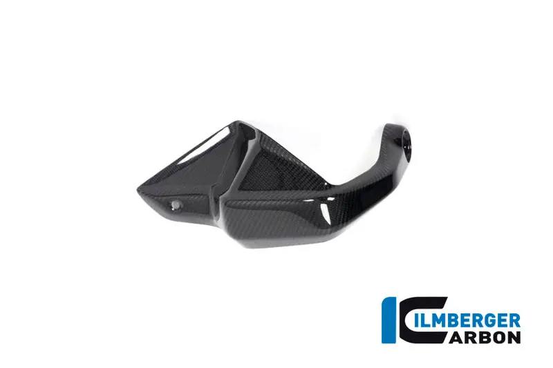 Bmw R1250gs (2019-2023) Ilmberger Carbon Hand Protector (Left) 1