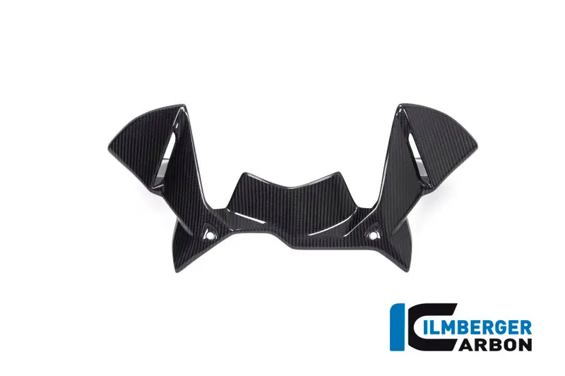 Bmw R1250gs (2019-2023) Ilmberger Carbon Windprotector On The Instruments 1