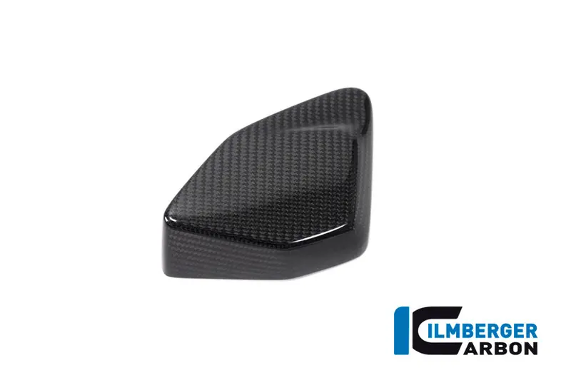 Bmw R1250gs Adventure (2019-2023) Ilmberger Carbon Esa Box Cover 1