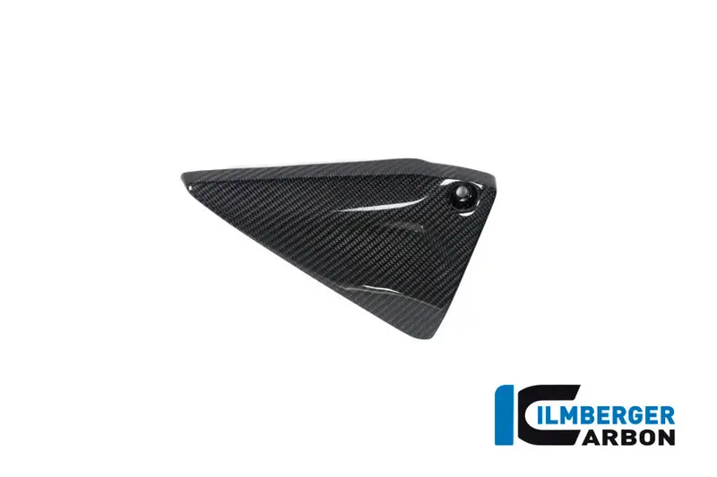 Bmw R1250r (2019-2025) Ilmberger Carbon Frame Triangle Cover Left Side 1