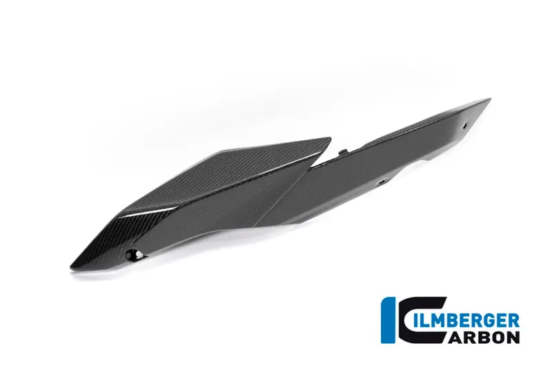 Bmw R1250r (2019-2025) Ilmberger Carbon Seat Panel Left Side 1