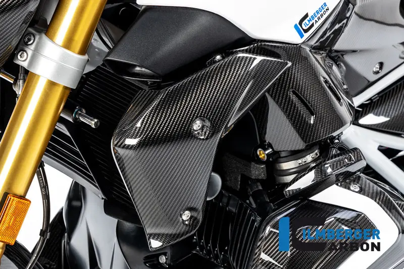 Bmw R1250r (2019-2025) Ilmberger Carbon Watercooler Cover Left Side 1