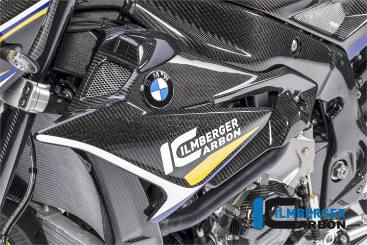 Bmw S1000r Naked (2017-2020) Ilmberger Carbon Fairing Side Panel Left Side 1