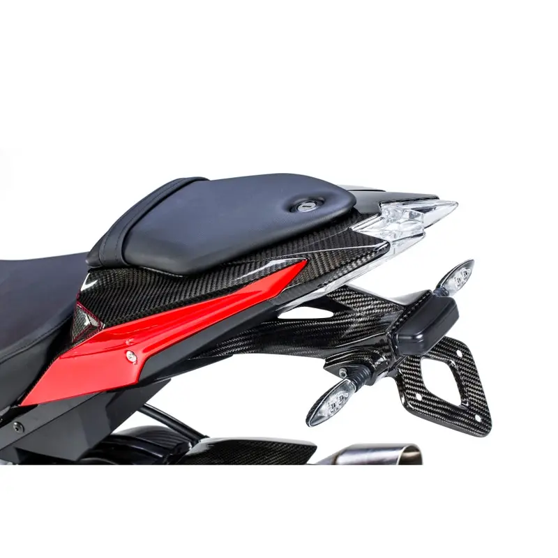Bmw S1000rr (2017-2018) Ilmberger Carbon Rear Taillight Cover 1
