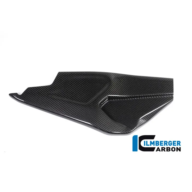 Bmw S1000rr Hp-4 Race (2017-2018) Ilmberger Carbon Swing Arm Cover Right 1
