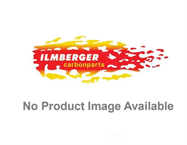 Ducati Monster 1200 / S (2014-2016) Ilmberger Rear Splash Guard (Gloss Finish) 1