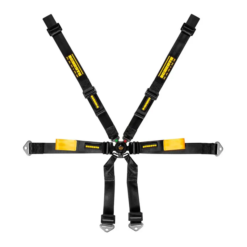 Schroth Enduro Porsche 991/981 2X2 Fhr Specific 1