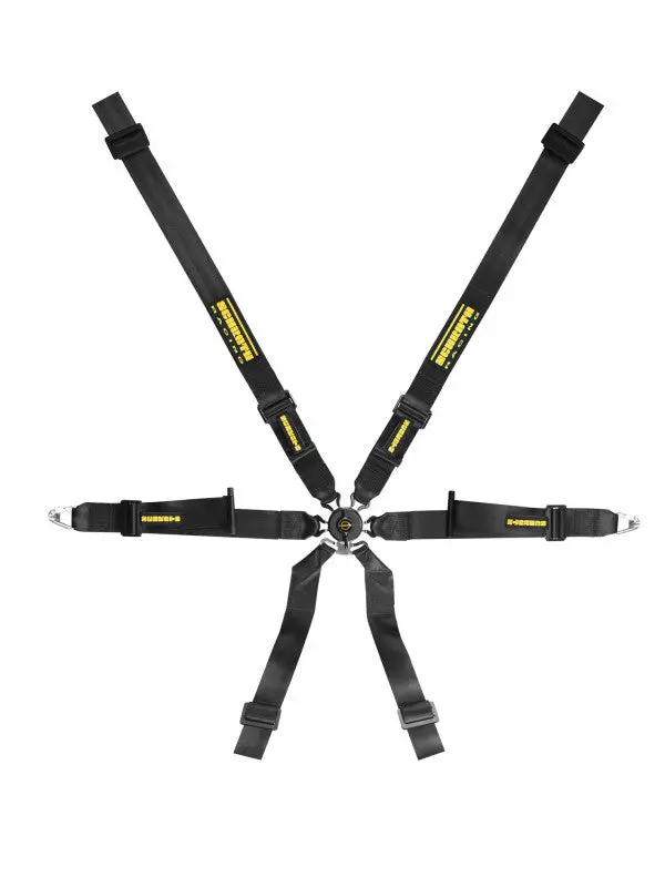 Schroth Profi 2X2 1