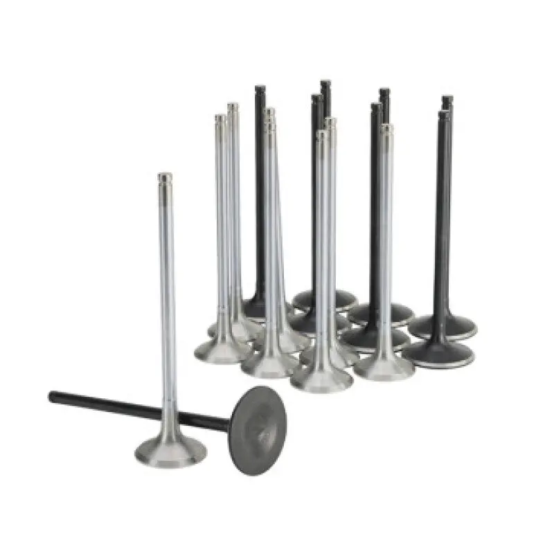 Skunk2 Alpha Series Valve Set — Standard Compression, Designed For Honda K20C1 Engines 1